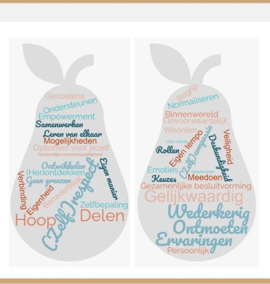 Stichting PeerSupportProjecten