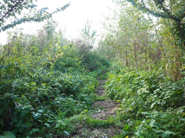 Laatste rondleiding van dit jaar in het Voedselbos