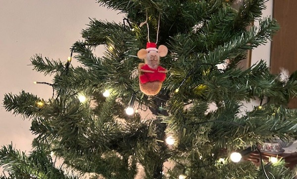 Kerstfilm en kerstavond in De Windwijzer