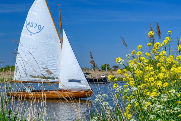 Wandelen met de Broekpoldergidsen in mei