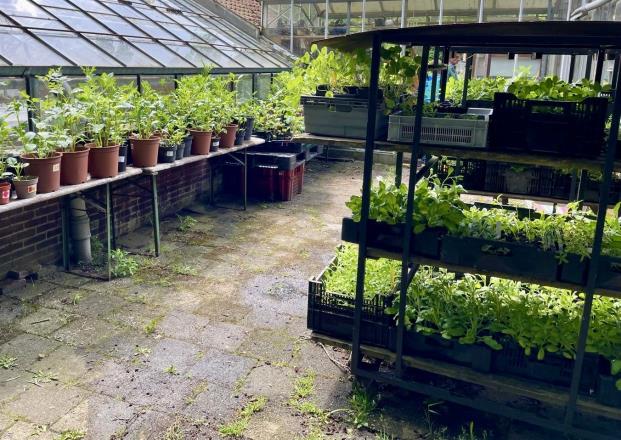 Opstart oogstzeizoen Stadslandbouw van Ruytenburch