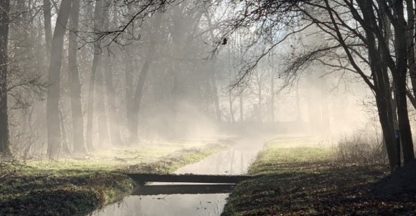 Broekpolder bijna herboren