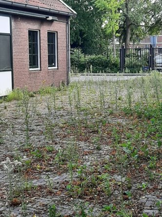 Raad trekt discussie over schoollocaties naar zich toe