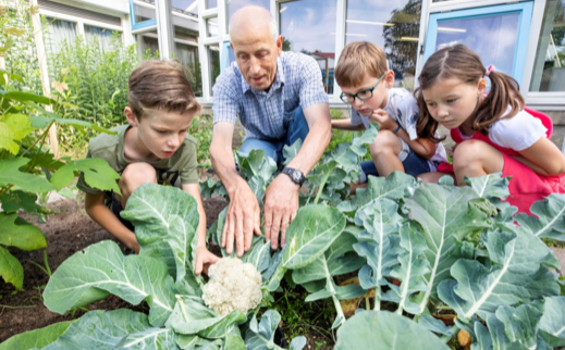 Workshop: ‘Moestuinieren met Kinderen’ 