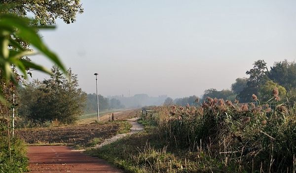 Jongens van 14-15 jaar gezocht: Brute overval op 65-jarige vrouw