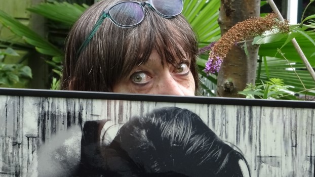 Beaty Czetö: Bewegende kunst vanuit stilstand