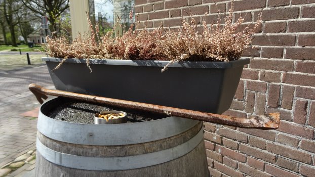 In search of Mick Taylor