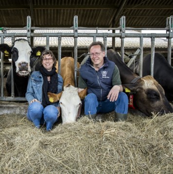 Met Vockestaert de Boer op