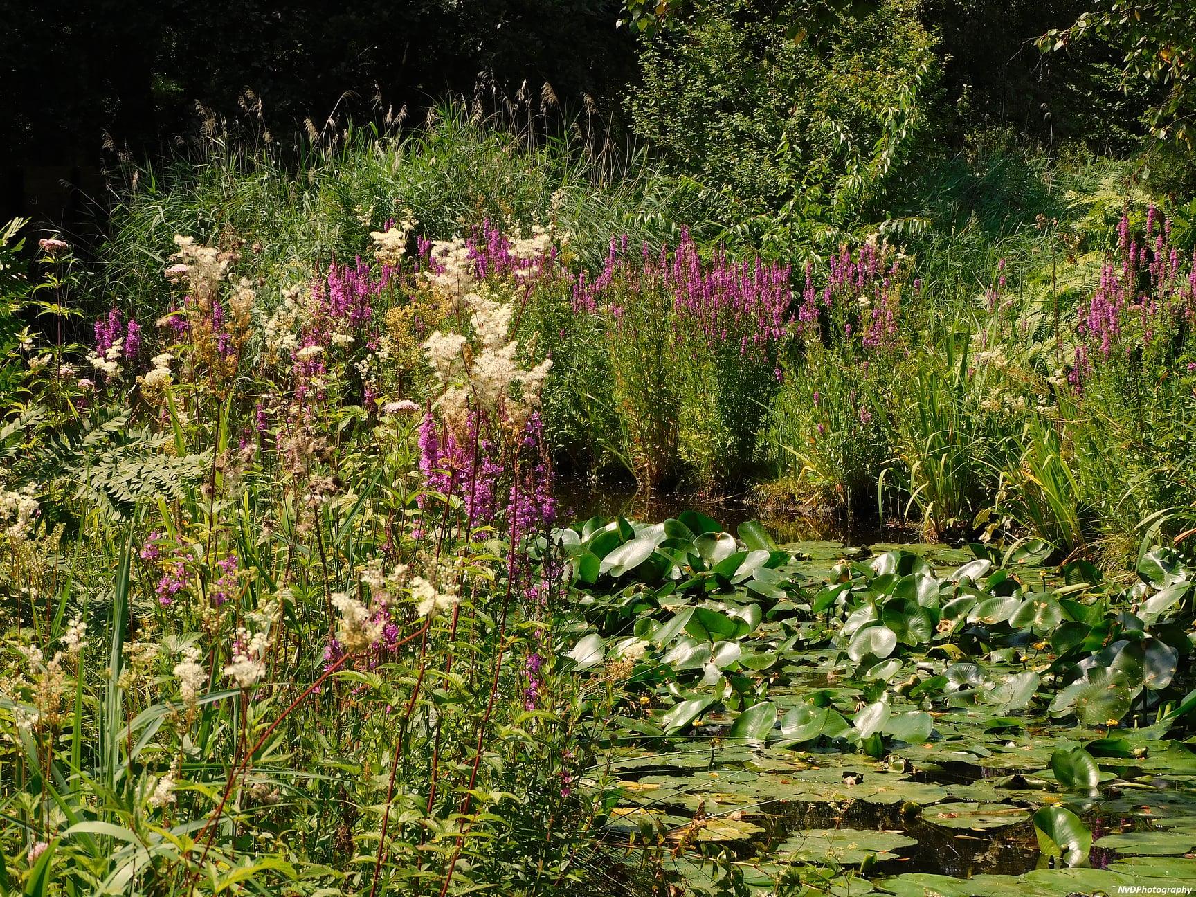 Universiteit Wageningen onderzoekt Heemtuin