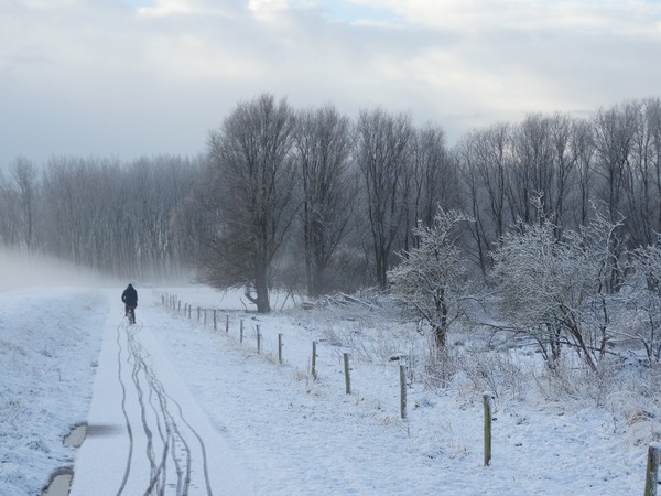 Winterwandeling met Broekpoldergidsen