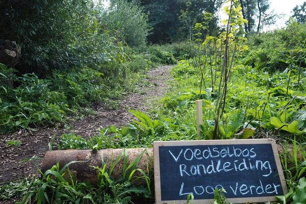 Groene en gezonde rondleiding Voedselbos Vlaardingen