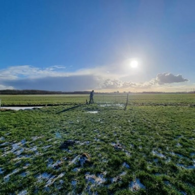 Vliegen door de natuur?