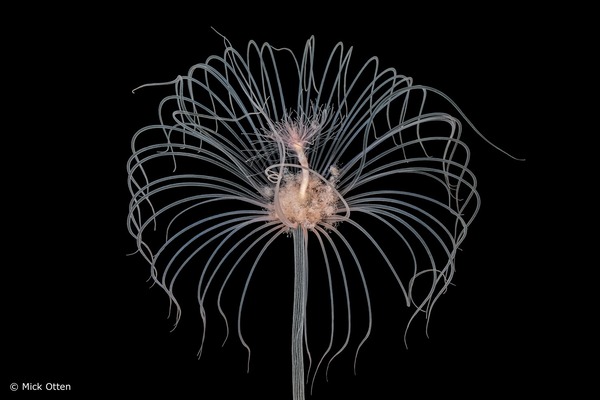 Expositie van Mick Otten in Kerkcentrum Holy