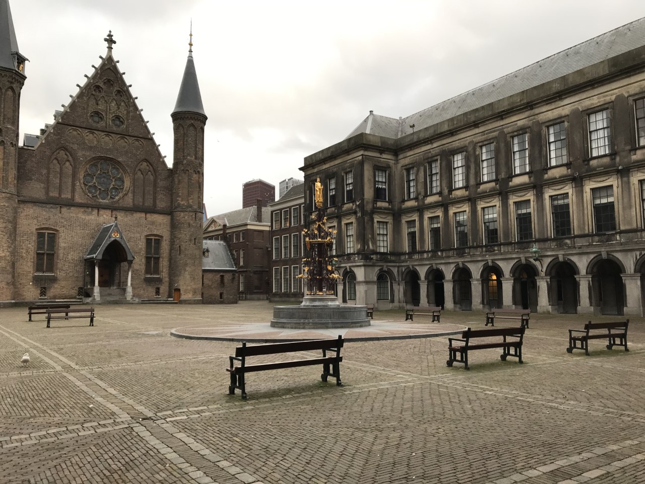 Spannendste maatschappelijk stage van Nederland