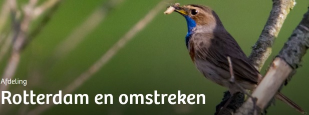 Wandelen voor vogelaars