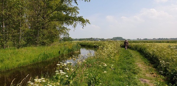 Ochtendwandeling met kudde en herder Esther