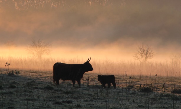 Wandeltocht voor omnivoren