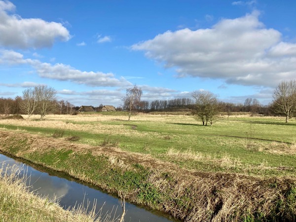 Snoeien en maaien in te saneren gebied Broekpolder