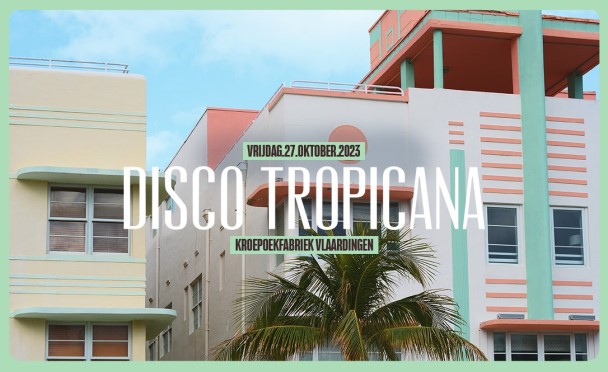 Disco Really Made It