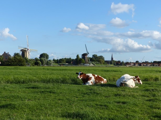 Bijzonder Midden-Delfland in het spotlicht