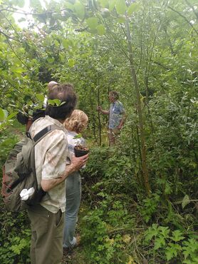 Warme rondleiding in Voedselbos Vlaardingen 