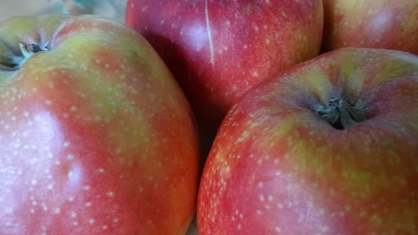 Startbijeenkomst Kind naar Gezonder Gewicht