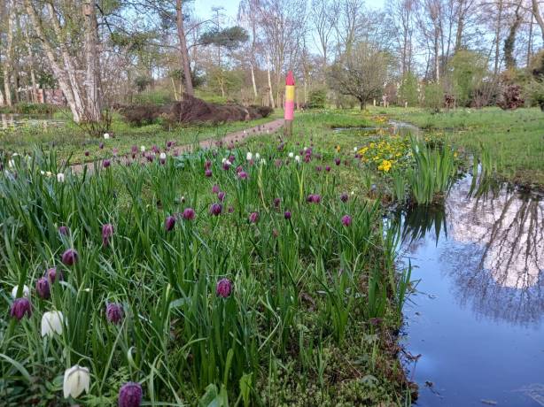 Veel te doen in de Heemtuin