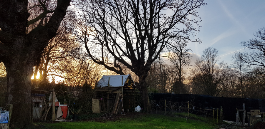 Themadagen voor TUIN TIENERS 