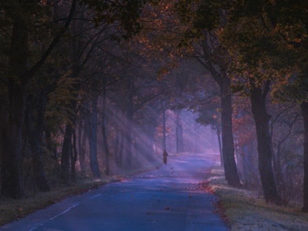 Dwalen in het Duister met bureau Speurneus en het verdwenen boek