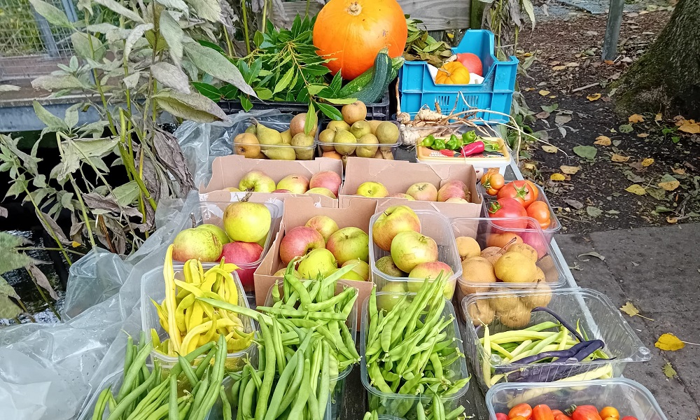 Open Akker bij Tuin Holy