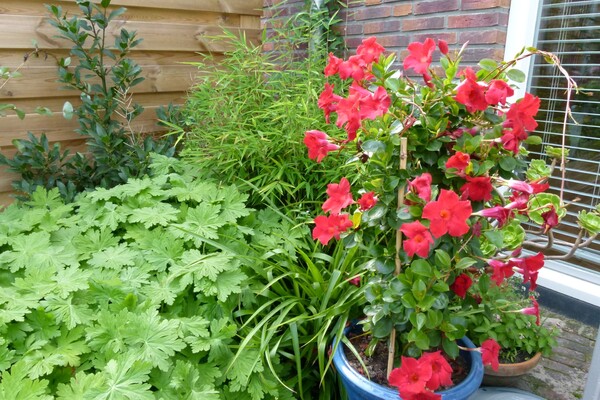 Natuurvriendelijk Tuinieren is er weer