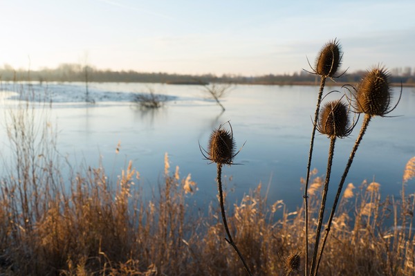 Winterwandeling met Broekpoldergidsen