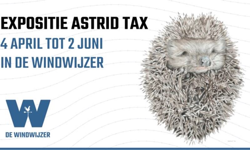 Expositie Astrid Tax in de Windwijzer