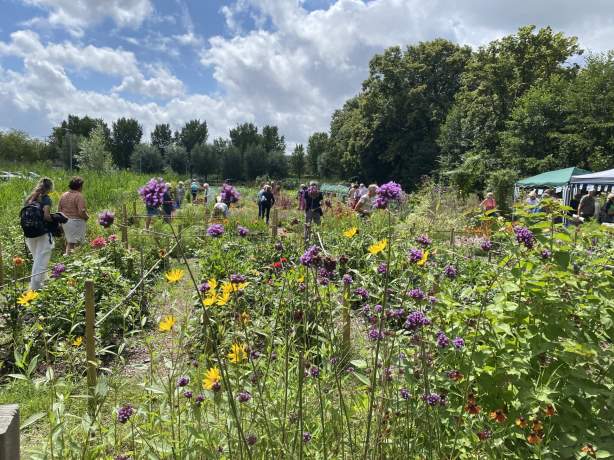 Open akker Stadslandbouw van Ruytenburch