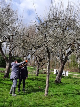 Maak kennis met de Buitenplaats