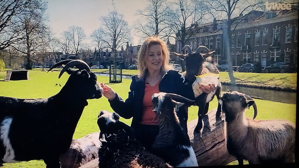 10 Jaar Dierenweide het Hof