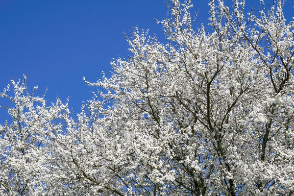 Jas en schoenen aan, goede zin en lust in de natuur