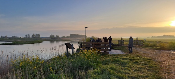 Vogelexcursies in Midden-Delfland
