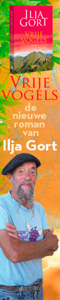Roman Ilja Gort - Vrije Vogels